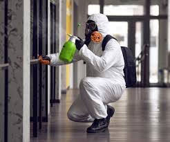 Best Comprehensive Air Testing for Mold Contaminants in Berkeley, MO